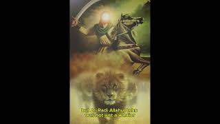 “The warrior who had both strength and wisdom. #AliRA #IslamicHistory #Warrior #Facts”