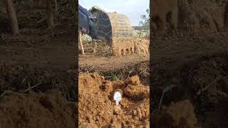 #rcexcavator #rctruck #excavator #bulldozer #fyp #shorts #rc #usa #viral