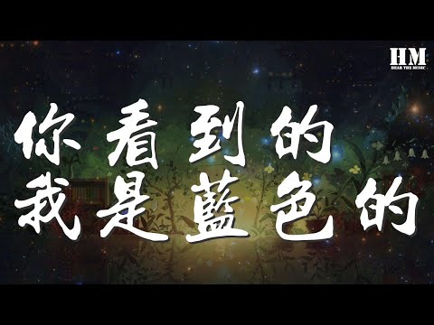 李霄雲 - 你看到的我是藍色的『是我的淚 成全你的自由』【動態歌詞Lyrics】