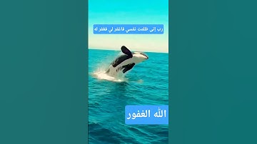 رب اغفر لي #بصوت مريح جميل جدا #تلاوات-رائعة #تلاوة_خاشعة #تلاوة_هادئة #المصحف #اكسبلور