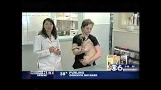 The need for Pet Health Insurance with the Cost of Emergency Care