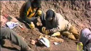 National Geographic - Was Darwin Wrong (Part 3)