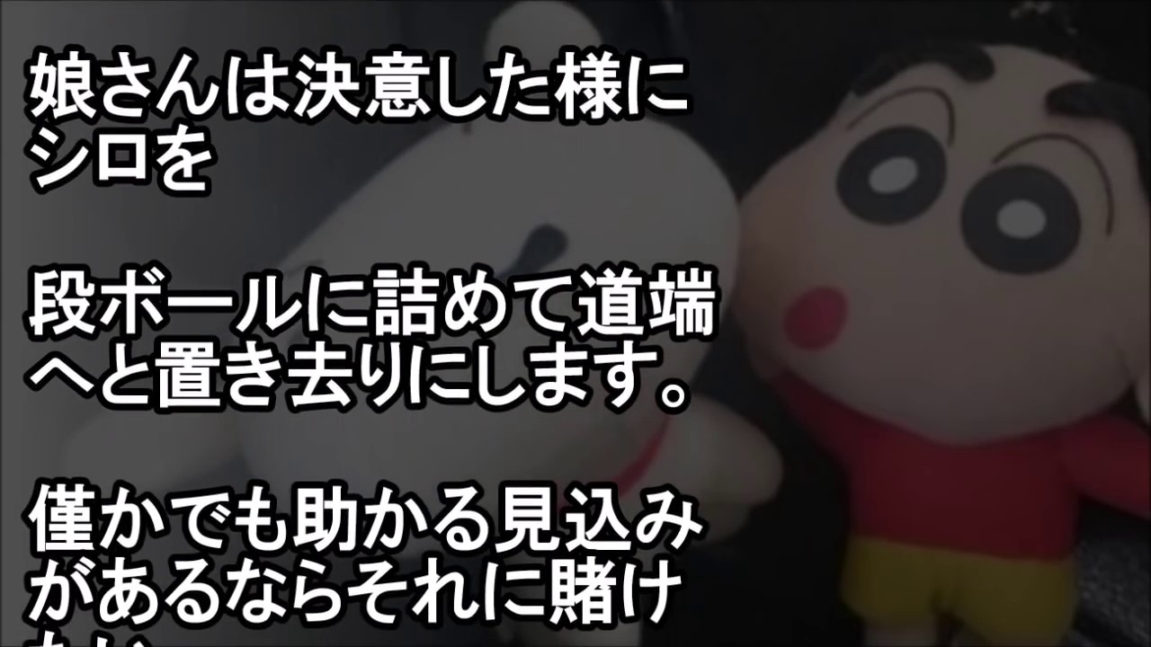 都市伝説感動 クレヨンしんちゃんシロとの出会いの裏には悲しい過去があった 危機的状況のほんの僅かな可能性が運命のパートナーに Youtube