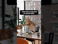 Show conflict resolution skills at work