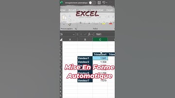 🚀 Excel : Formatez TOUT en 1 clic !