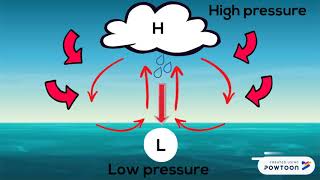 Tropical Cyclone Animation