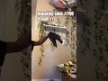 Remaking solar! #fypシ゚viral #paperart #dragon #papercrafts
