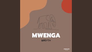 Mwenga