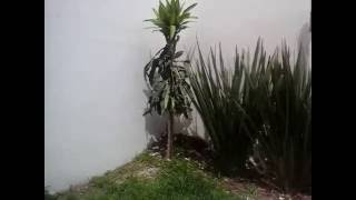 Casa Nueva Galicia