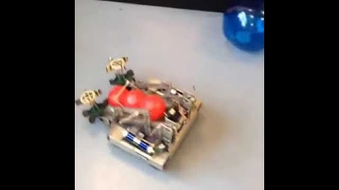 Bucky & Large Ball Intake Test