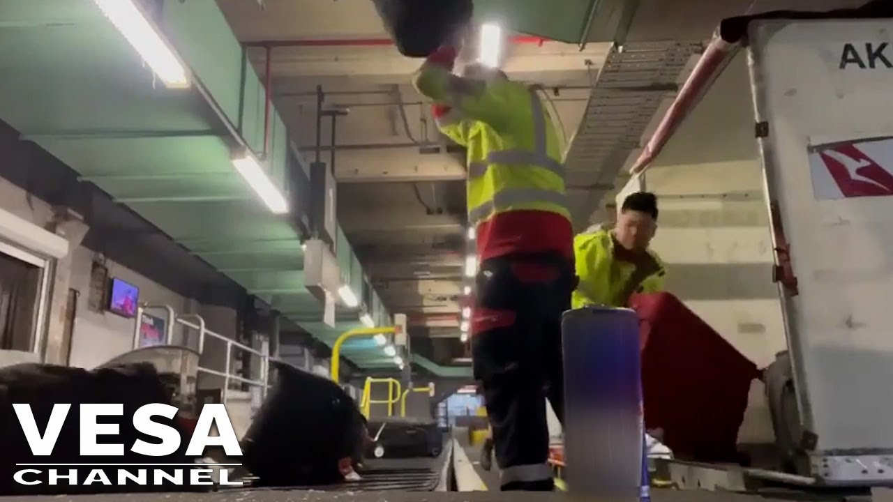 Baggage handlers filmed throwing passenger's luggage onto a conveyor