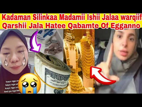 Kadaman Silinkaa Madamii Ishii Jalaa Warqiif Qarshii Jalaa Hatee Qabamtee Of Egganno