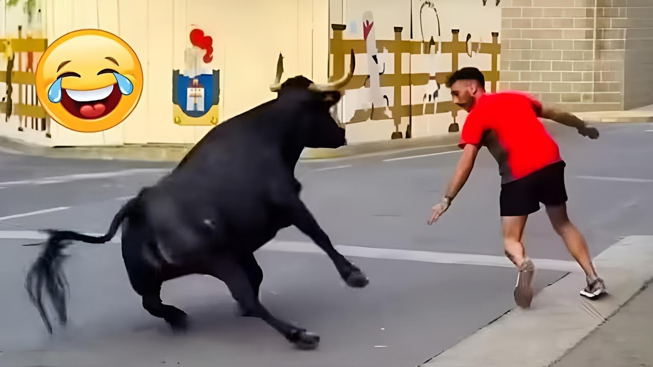 𝙏𝙧𝙮 𝙉𝙤𝙩 𝙏𝙤 𝙇𝙖𝙪𝙜𝙝 🤣 𝙏𝙤𝙥 100 𝙁𝙪𝙣𝙣𝙞𝙚𝙨𝙩 𝙑𝙞𝙙𝙚𝙤𝙨 𝙀𝙫𝙚𝙧🎬🔥 𝙈𝙚𝙢𝙚𝙨 , 𝙀𝙥𝙞𝙘 𝙁𝙖𝙞𝙡𝙨 𝙖𝙣𝙙 𝙋𝙧𝙖𝙣𝙠𝙨  𝘾𝙤𝙢𝙥𝙞𝙡𝙖𝙩𝙞𝙤𝙣 𝙋𝙖𝙧𝙩 2