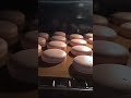 Macarons #shorts #shortvideo #short #samvelkhlgatyan #asmr