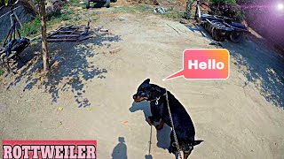 Rottweiler care  DOG LOVER प्यारे डॉग्स ❤#rottweiler #doglover #pets