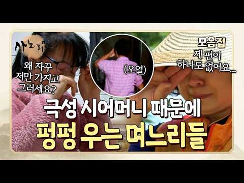 "감히 시부모한테 대들어?!" 극성 시어머니와 결국 터져버린 며느리들 | 사노라면 모음집