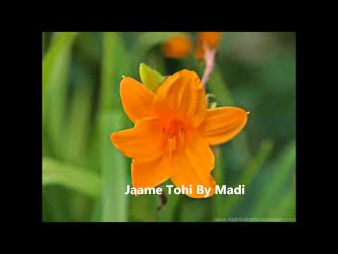 جام تهی فریدون مشیری  