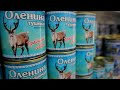 Животноводческая ферма в Ямальском районе производит молочные продукты