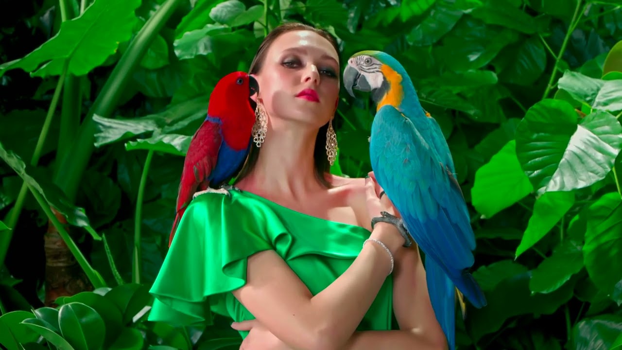 TCL C93 4K Mini LED - QD-QLED DISPLAY  (4K UHD)