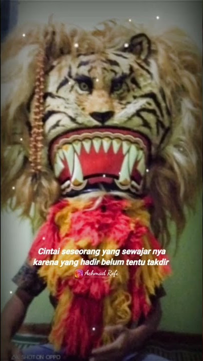 Story Wa Reog Terbaru 2021
