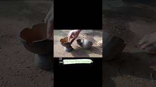 Coconut Shell Planters By House Of Coconut, Guhagar