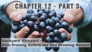 Chapter 12 - Part 3 - Grape Vine Pruning Before the 2nd Growing Season