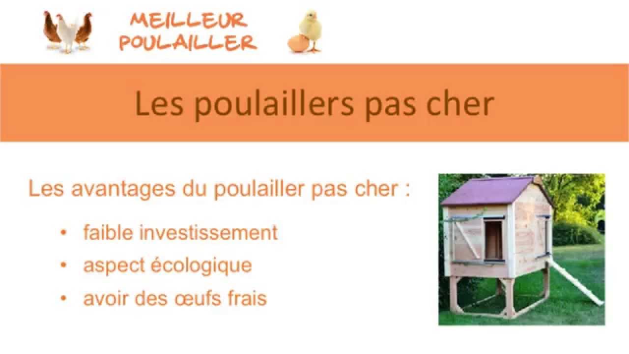 Poulailler Pas Cher Sur Meilleur Poulaillercom