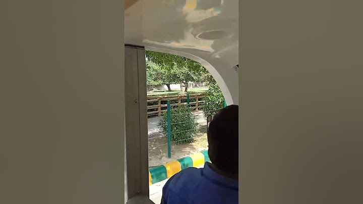 Delhi Chidiyaghar Tour Battery operated vehicle Mein 👌#trending #shorts #youtubeshorts #nature