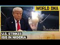 World DNA LIVE: U.S. Hits Islamic State in Nigeria | IDF Claims Killing of Quds Force Official| WION