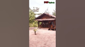 KAMPUNG KEAKWA Tempat Wisata di Mimika, Papua Tengah #shorts #mimika #papuatengah #tempatwisata