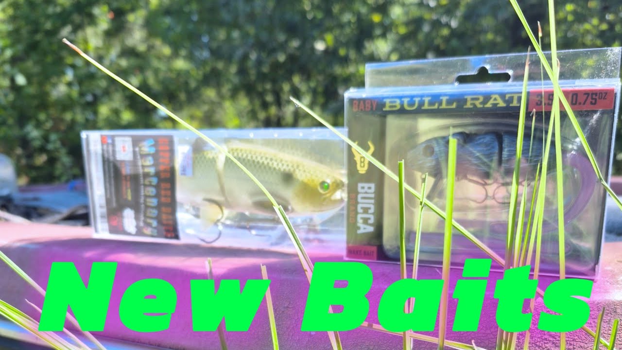 New Baits #bassfishing #bigbait