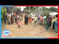 Horror in Kiambu as pack of stray dogs kills 37-year-old man