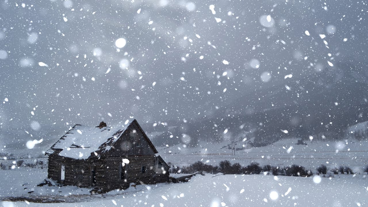 Blizzard Sounds for Sleeping Snowstorm Sounds for Sleep Howling