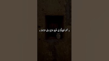 الشيخ محمد السبيل رحمه الله |||| من سورة فصلت.