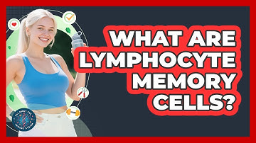 What Are Lymphocyte Memory Cells? - All About the Immune System
