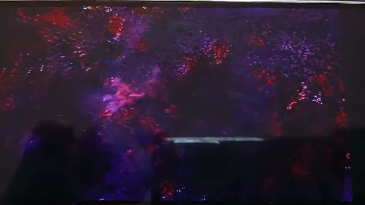 Regular Show Intro Camera