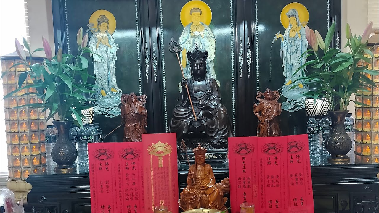 「釋禪定」正在共修直播！