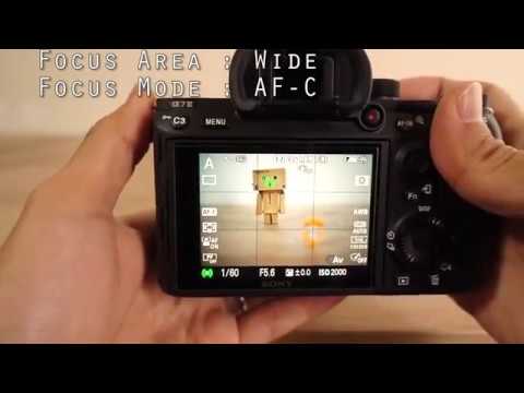 α7III + MC-11 + EF35mm F2 IS USM Auto Focus Test [SONY A7III