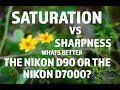 Nikon D90 vs Nikon D7000? Which is sharper?