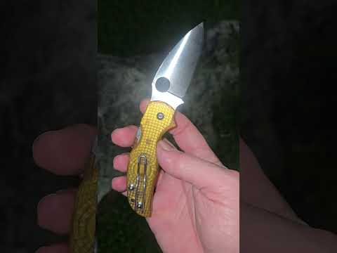 Spyderco Sage 5 Lightweight mimeo      