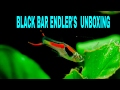 Black Bar Endler S Un Boxing Black Bar Endler S Un Boxing