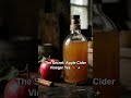 This Drink Melts Belly Fat Fast! ☕️🔥 | The Secret: Apple Cider Vinegar Tea 🍎✨ | Boosts metabolism