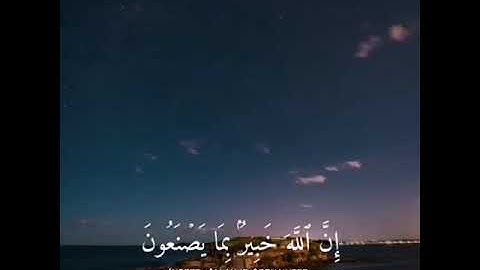 كمية الراحة اللي بصوته غير طبيعية للقارئ اسلام صبحي | Holy Quran 💙 اكتب شي تؤجر عليه