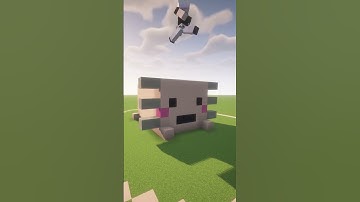 axolotl Minecraft #minecraft #minecraftshorts #minecraftbuilding