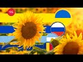 Semillas Girasol - Argentina vs Estados Soviéticos - Producción Mundial, Exportaciones/Importaciones