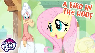 My Little Pony: Friendship is Magic | A Bird in the Hoof | S1 EP22 | MLP Full Episode