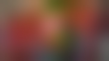 Mortal Kombat XL - All Fatalities & X-Rays on Rainbow Predator Costume Skin Mod 4K Gameplay Mods