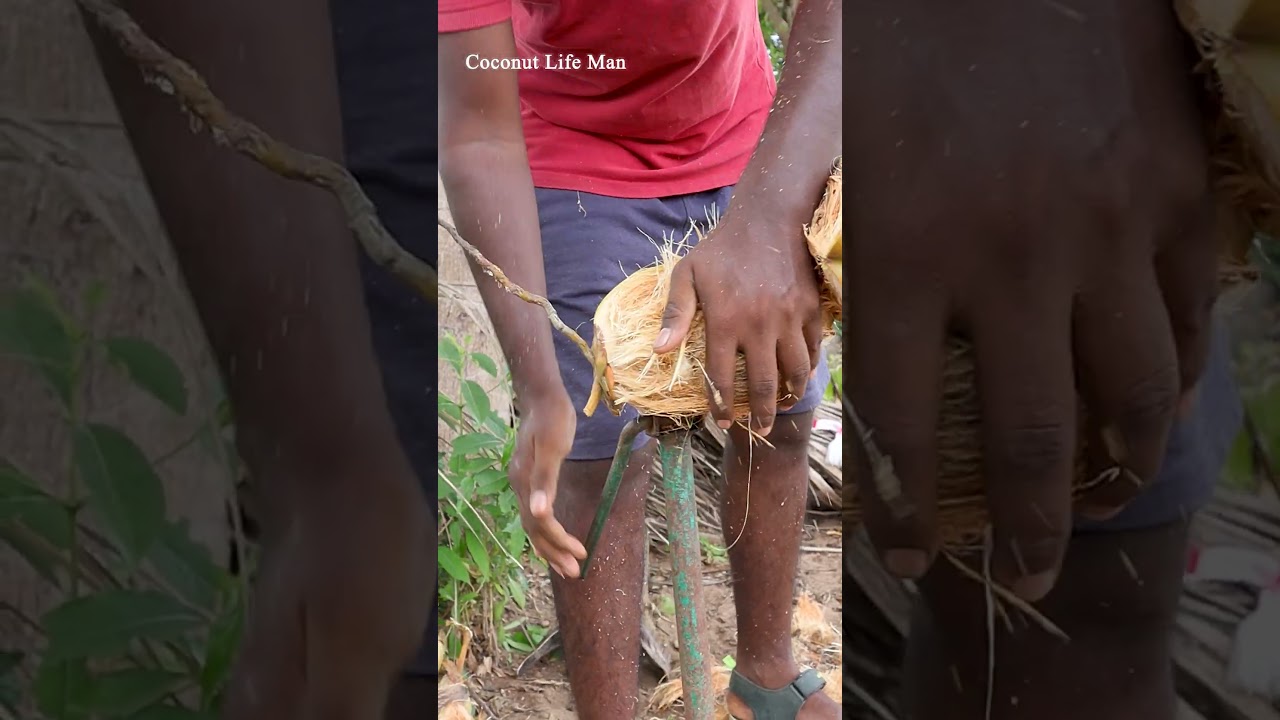 Coconut Peeling 101: Beginner's Guide! 