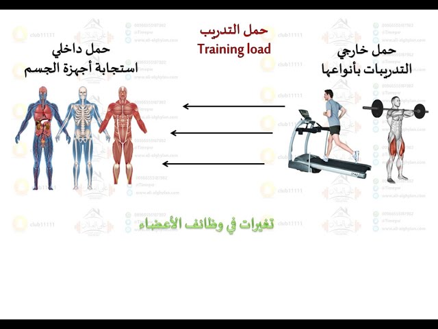 درس حمل التدريب (مختصر جدا) - YouTube