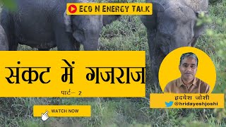What is the Importance of Elephant in Our Ecosystem I  ECO N ENERGY TALKStory 4 elephant new